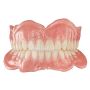 Principles of Complete Dentures and Overdentures 050925